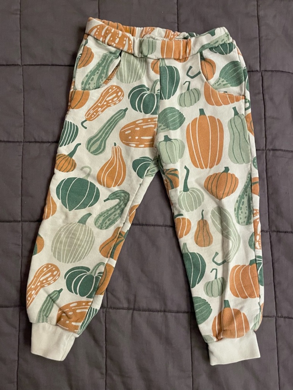 Pumpkin & Gourd Print Joggers